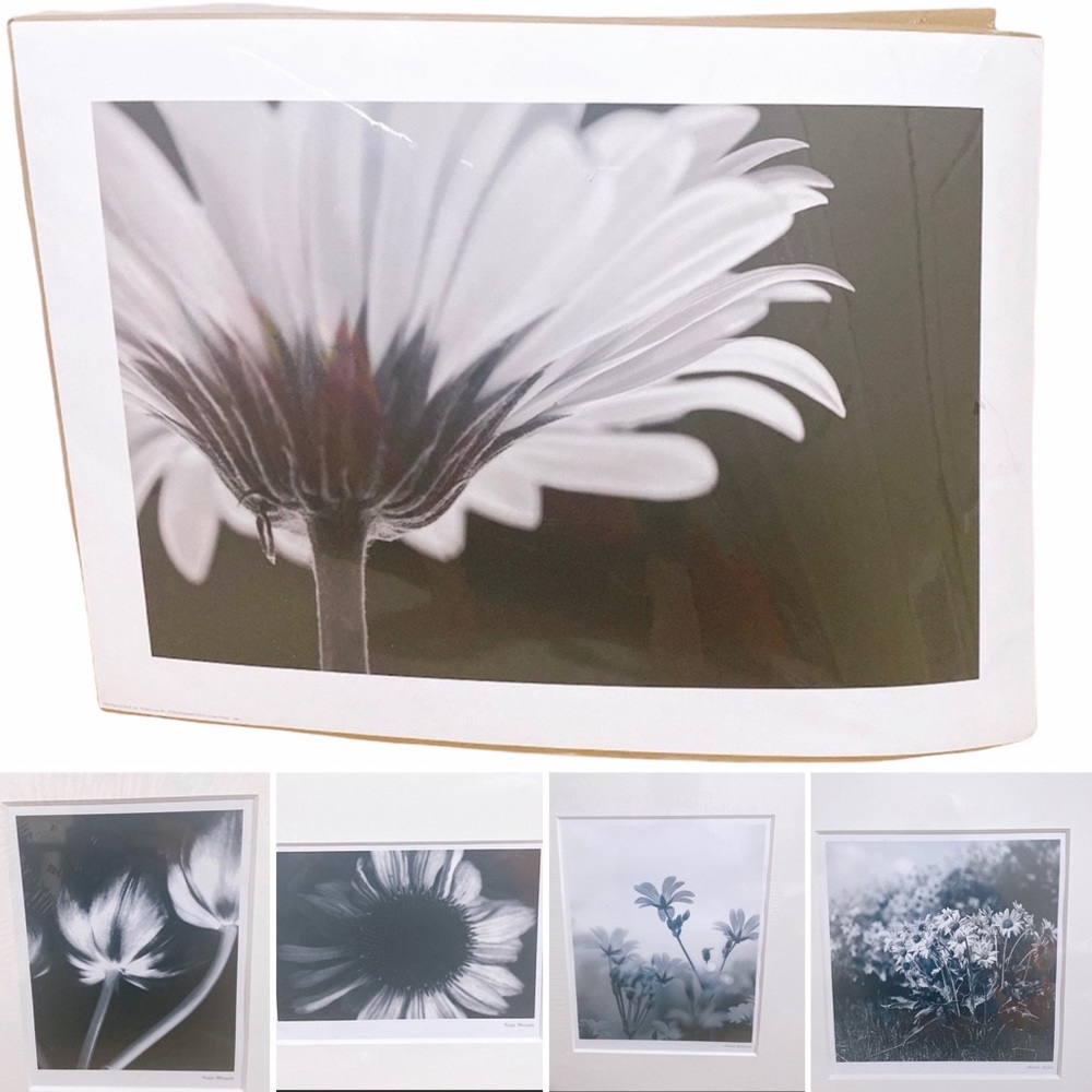 IKEA Black & White Flower Prints